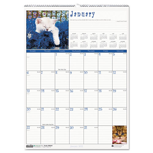 2013 Kitten Calendar by House of Doolittle See the cute kitten calendars at OnTimeSupplies.com