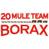 BORAX Logo