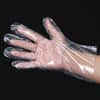 LCI606009 - SKILCRAFT Stove Gloves - Clear - Polyethylene - Powder-free - 200/Box