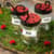 AVE6460 Image Thumbnail 8