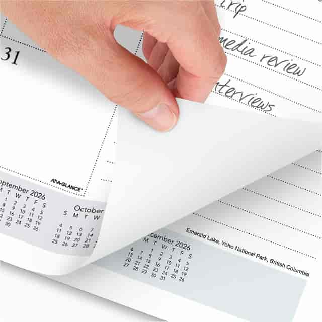 AAG89802 Product Image 6