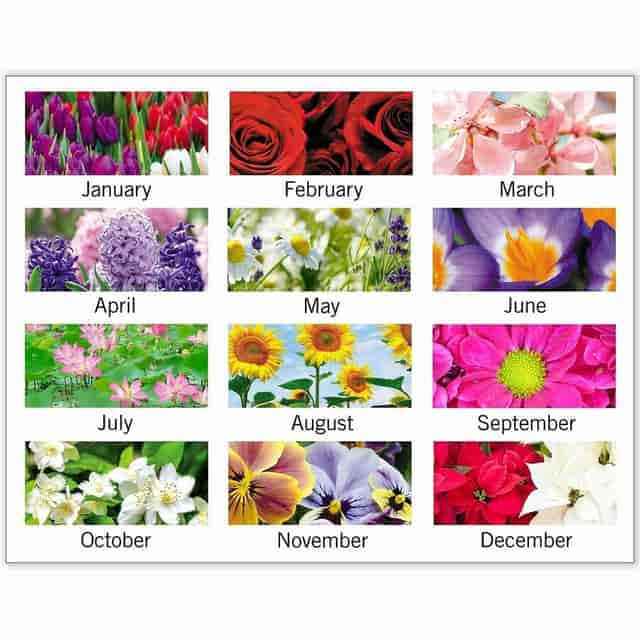 AAG89805 Product Image 9