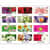 AAG89805 Image Thumbnail 8