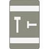 SMD67190 - AlphaZ ACCS Color-Coded Labels, T, x 1" Width x 1 5/8" Length, Gray, Laminated, 10 / Sheet, 1 Pack