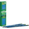 DIX14209 - Pre-Sharpened Erasable Checking Pencils, Blue Lead, HB, 1 Dozen