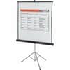 QRT560S - Manual Projection Screen, 1:1, Matte White, 60" Height x 60" Width, Surface Mount, 1 Each