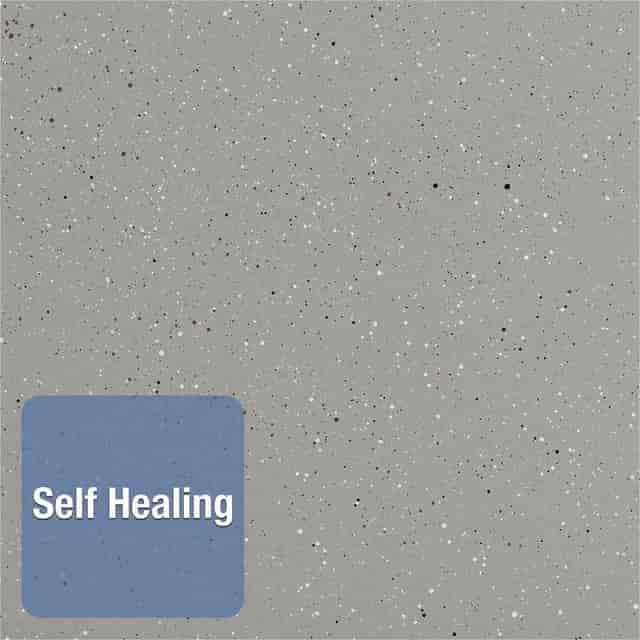 QRT699375 Product Image 9