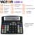VCT12004 Image Thumbnail 9
