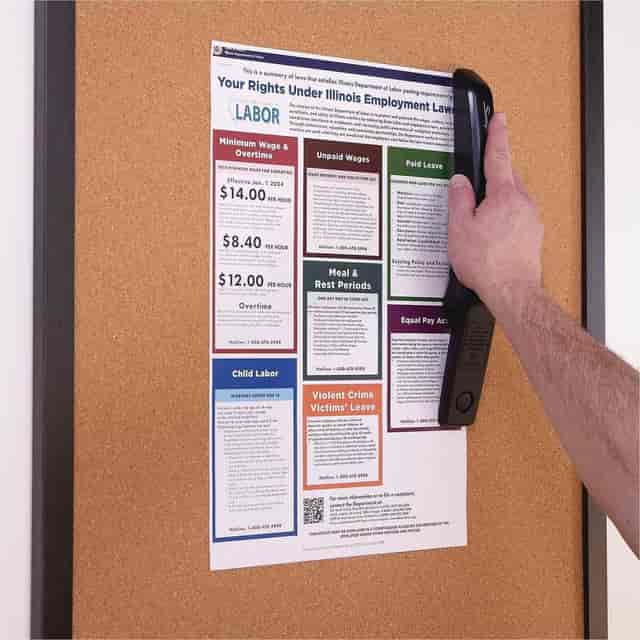 SWI54551 Product Image 9