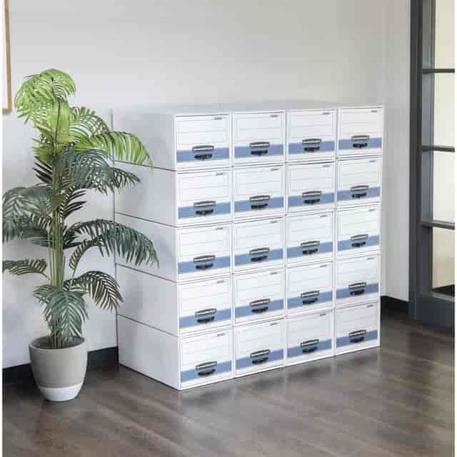 FEL00311 Product Image 5