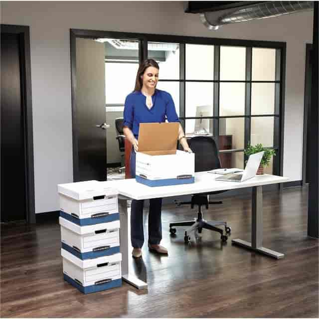 FEL00784 Product Image 2
