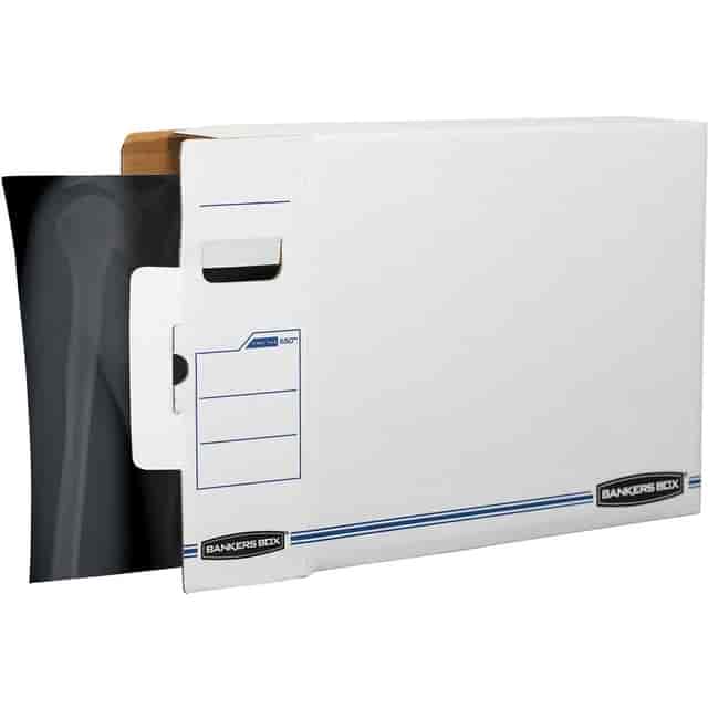 FEL00650 Product Image 3