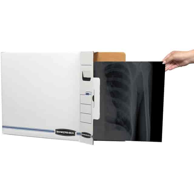 FEL00650 Product Image 4