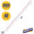 GJO20050 Image Thumbnail 3