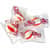 OFX00661 Image Thumbnail 2