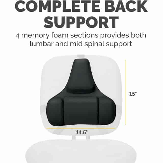 FEL8037601 Product Image 3