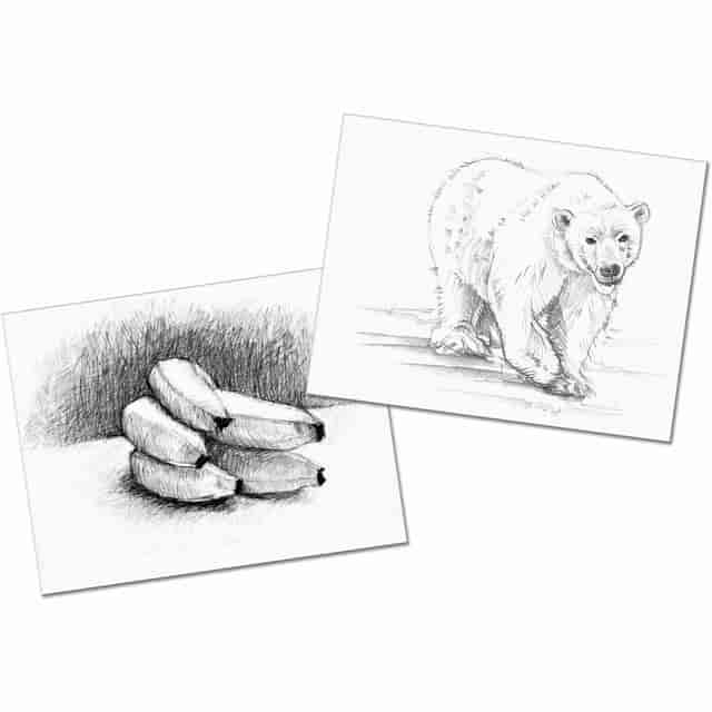 PAC4746 Product Image 6