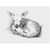 PAC4850 Image Thumbnail 6