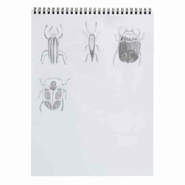 PAC4850 Product Image 6