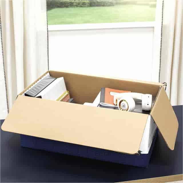FEL0001203 Product Image 2