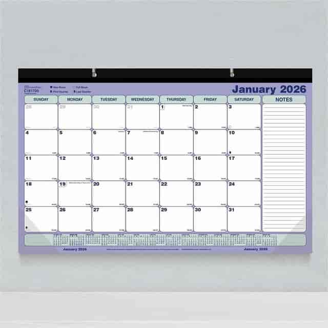 REDC181700 Product Image 6