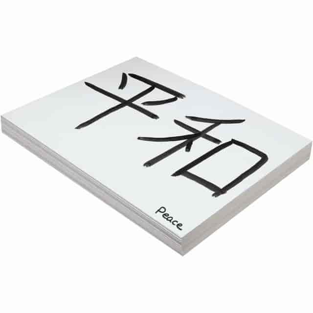 PAC5281 Product Image 2