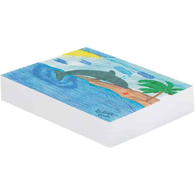 PAC3409 Product Image 2