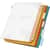 CRD84009 Image Thumbnail 1