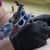 ALL24625 Image Thumbnail 2