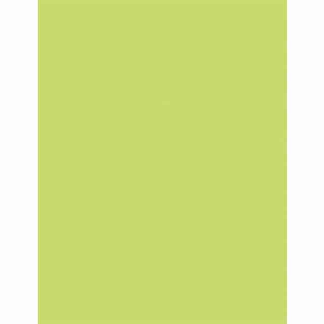 PAC102053 Product Image 2