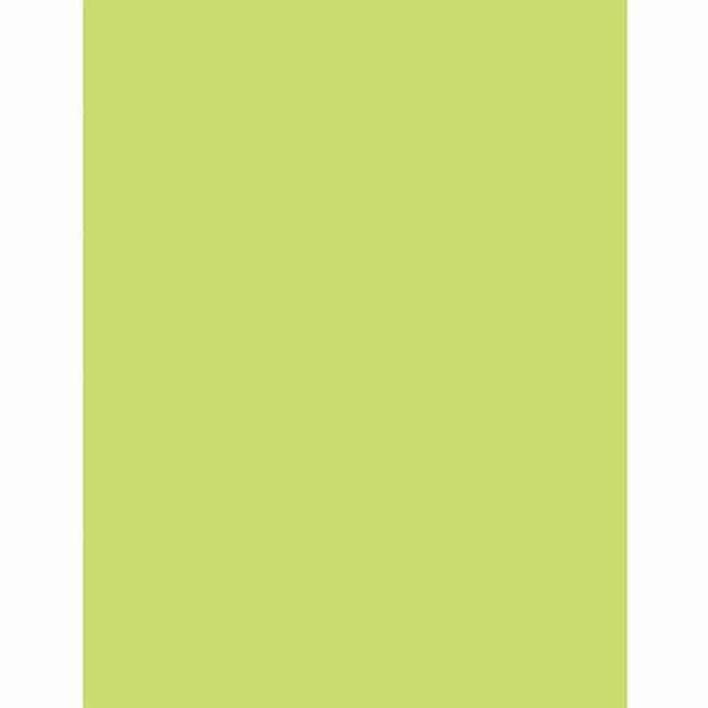 PAC102224 Product Image 2