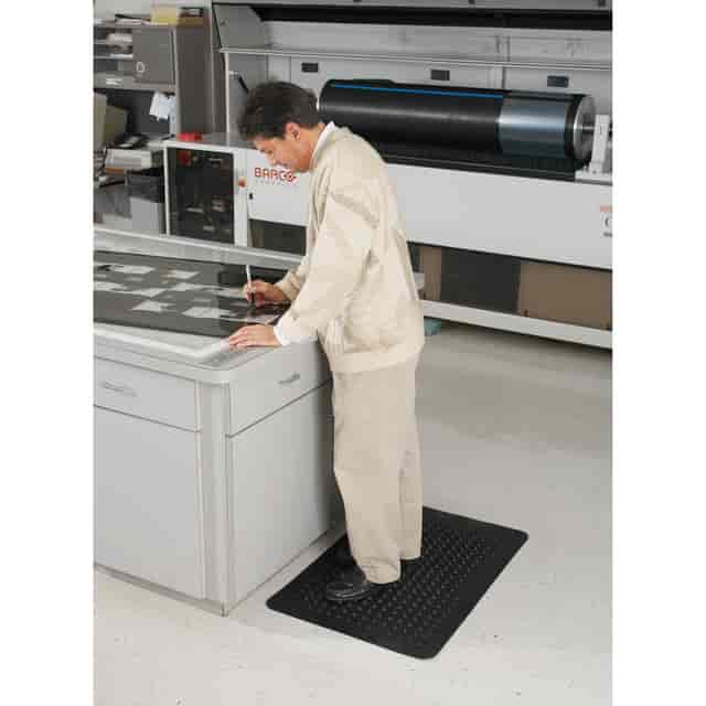 MLL24020300 Product Image 4