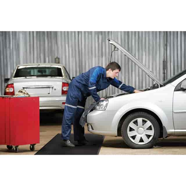 MLL24030502 Product Image 9