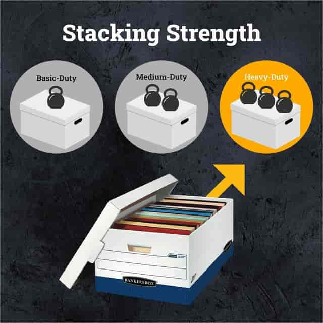 FEL0063201 Product Image 5