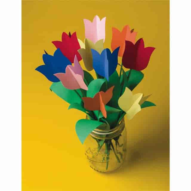 PAC103063 Product Image 7