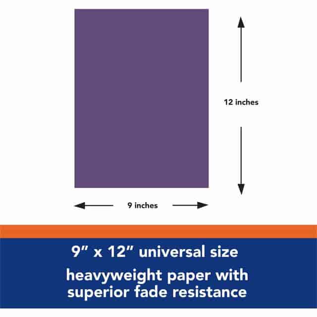 PAC103019 Product Image 2