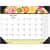 HOD149 Image Thumbnail 1