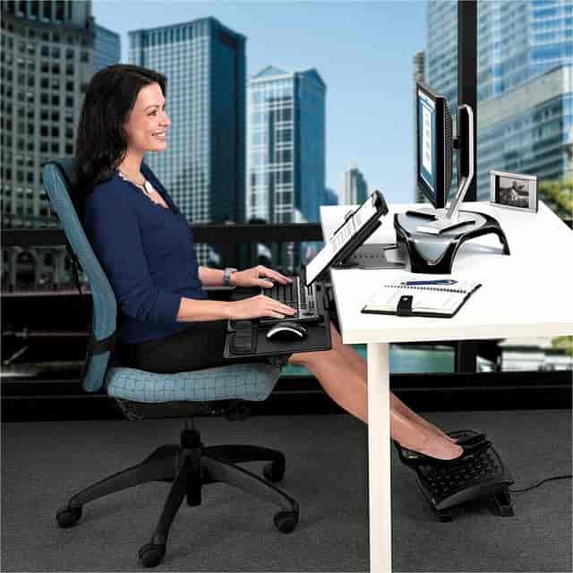 FEL8039401 Product Image 6