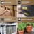 DYM91331 Image Thumbnail 5