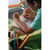 PAC4790 Image Thumbnail 6
