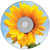 MAX648720 Image Thumbnail 2
