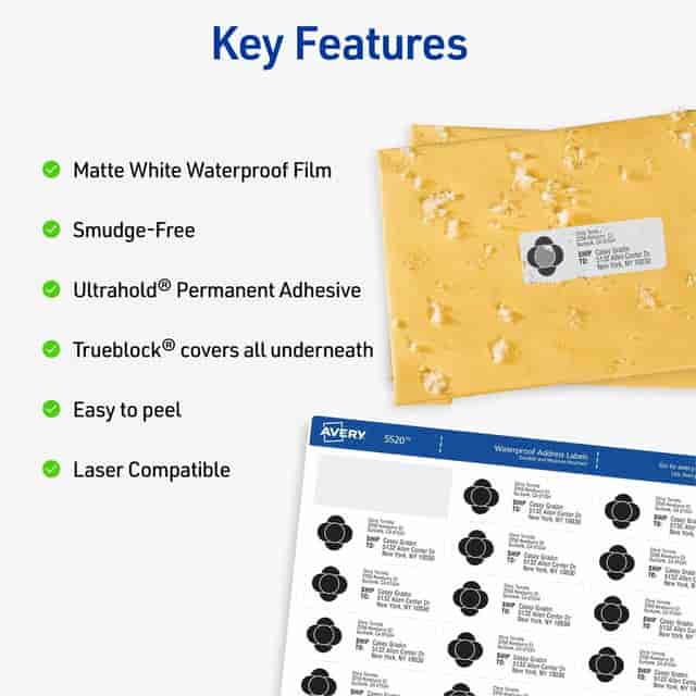AVE5522 Product Image 3
