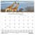 HOD3731 Image Thumbnail 1