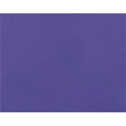PAC54481 Thumbnail