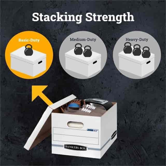 FEL0006301 Product Image 5