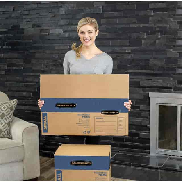 FEL0062801 Product Image 5