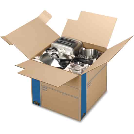 FEL0062801 Product Image 2