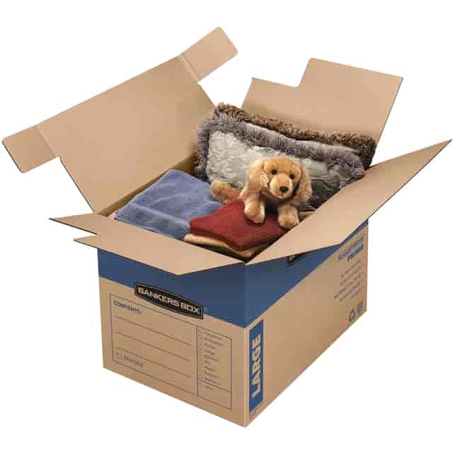 FEL0062901 Product Image 3