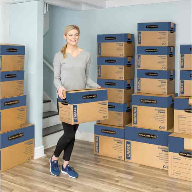 FEL0062901 Product Image 4