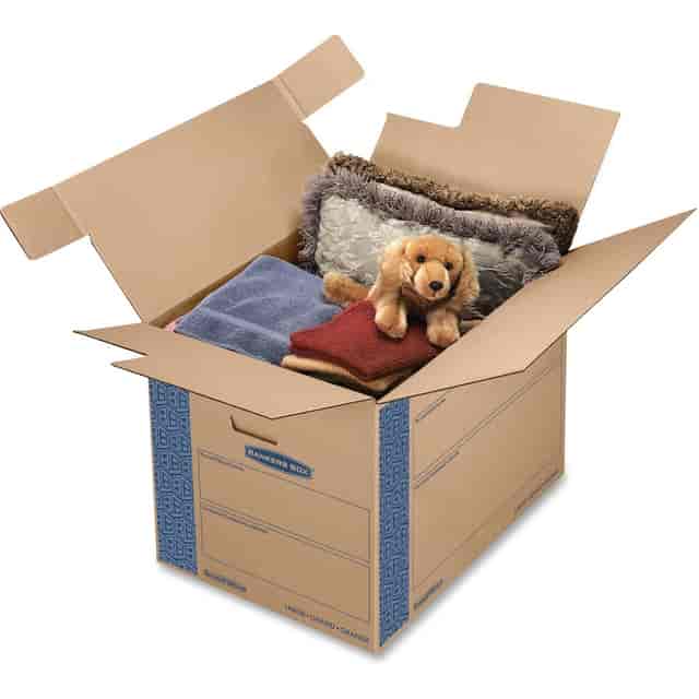 FEL0062901 Product Image 2